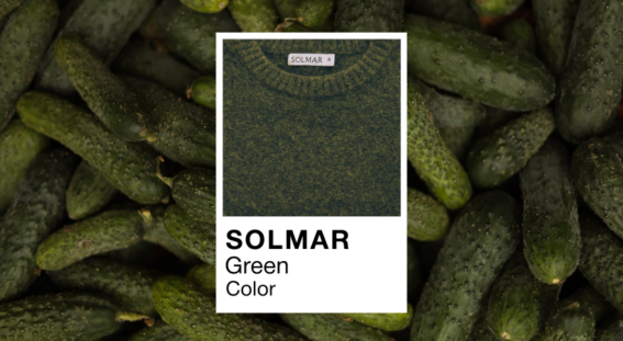 Зустрічай Green Color Drop від SOLMAR